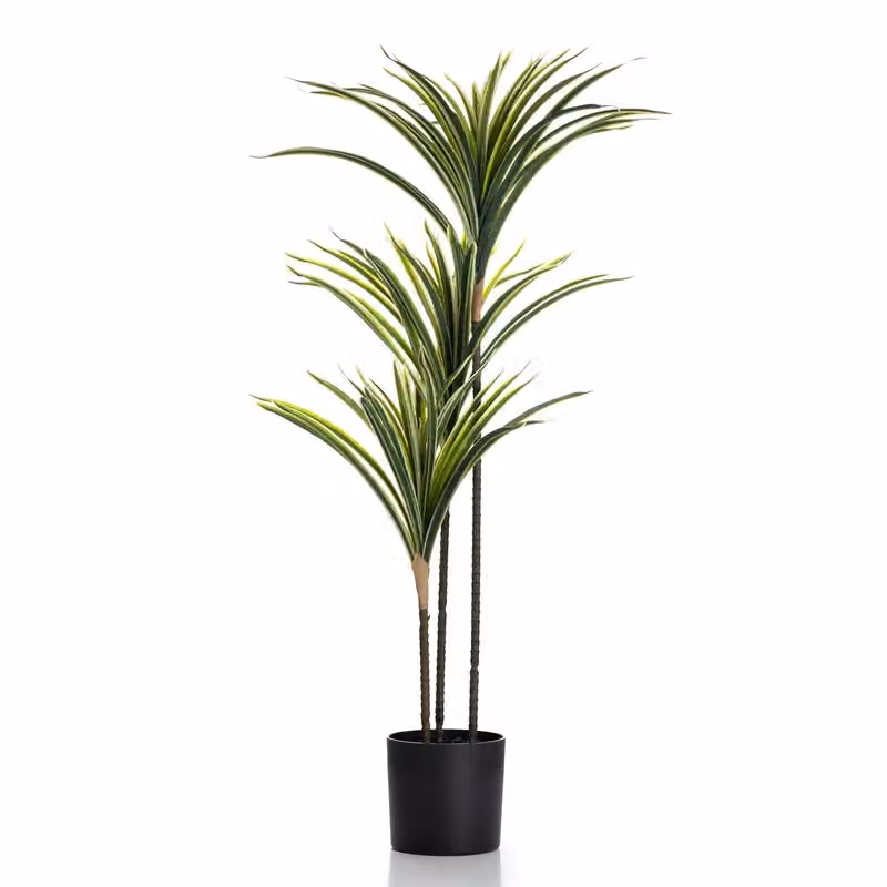 Scottish Everlastings Ltd 90cm Real Touch Variegated Green Potted Yucca Plant – 2