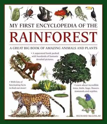 My First Encyclopedia of the Rainforest: A Great Big Book of Amazing Animals and Plants by Armadillo Music, Multicolour