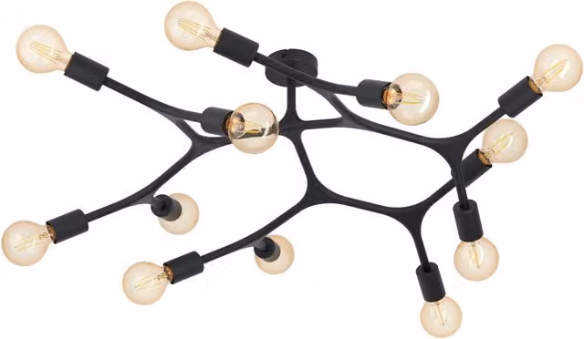 Loops Flush 12 Bulb Ceiling Light in Black Metal