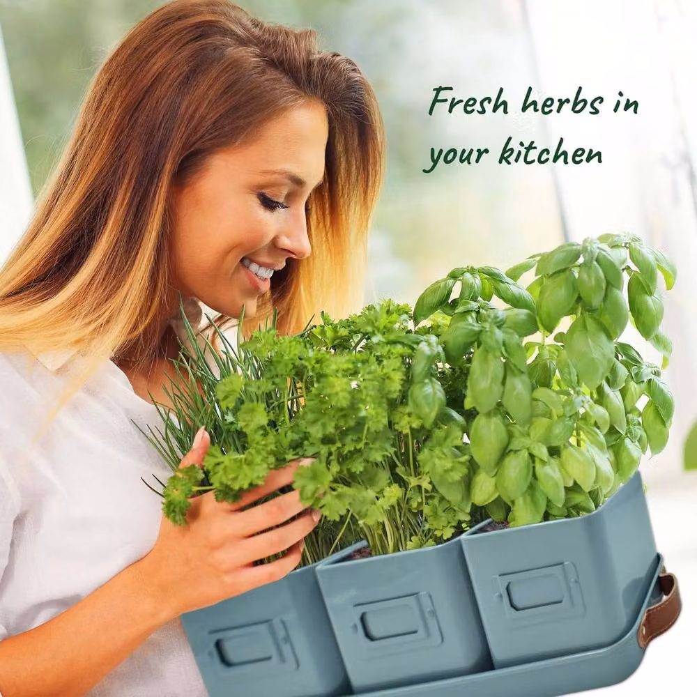 Green Thumbz Set of 3 Indoor Herb Planters with Leather Handled Tray in Petrol Green – 2