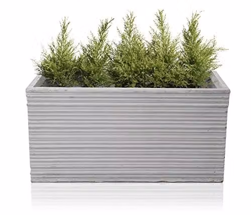 Primrose Berniss Trough Planter Pot in Grey or Brown, 50 cm