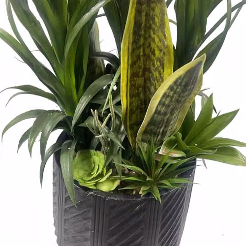 Leaf UK 107cm Green Artificial Yukka Plant in a Concrete Pot – 3