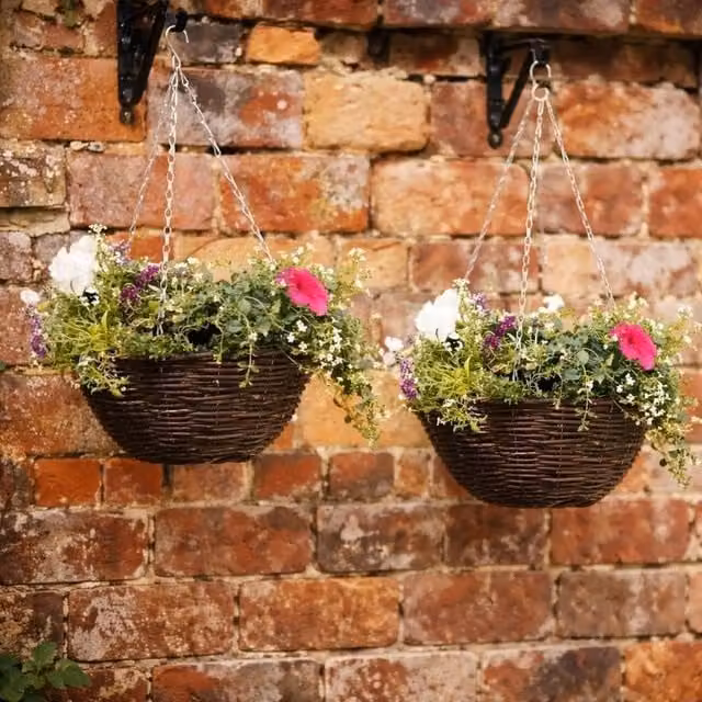 Marco Paul X2 14 inch Dark Rattan Hanging Baskets in Bronze