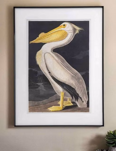 Gallery Direct Pellicano Vintage Bird Paper Poster in a Rectangular Wood and Glass Frame, White and Black