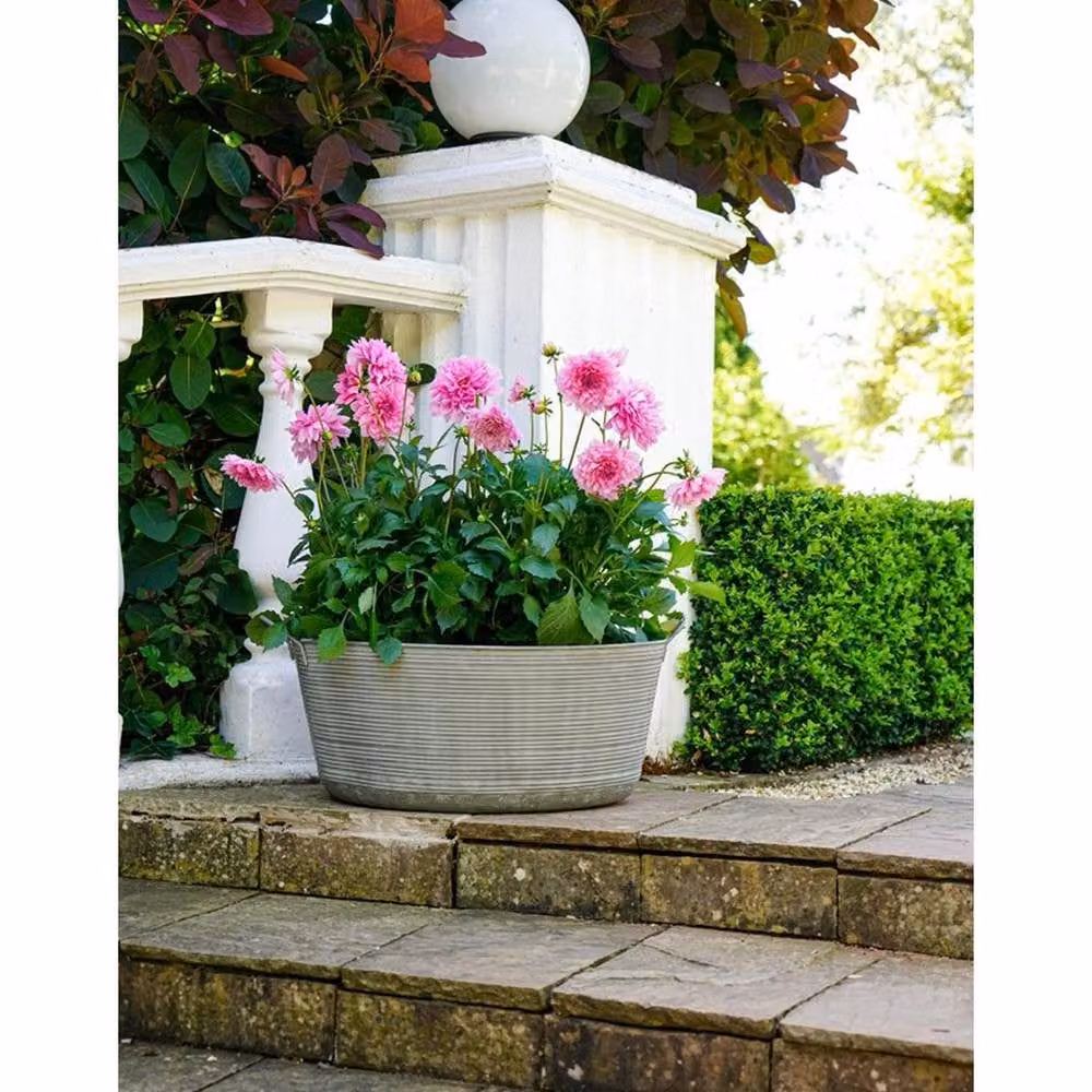Lemon Pavilion Furniture and Decor Matlock Oval Metal Planter, Grey, W: 58.5 cm, D: 58.5 cm, H: 34 cm – 2