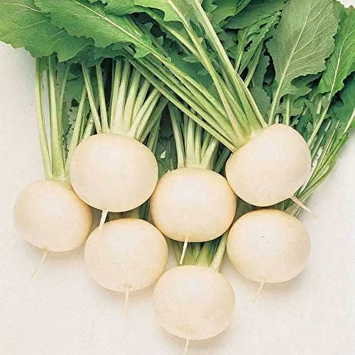 Thompson and Morgan Turnip Oasis Seeds, 250 Seeds per Packet