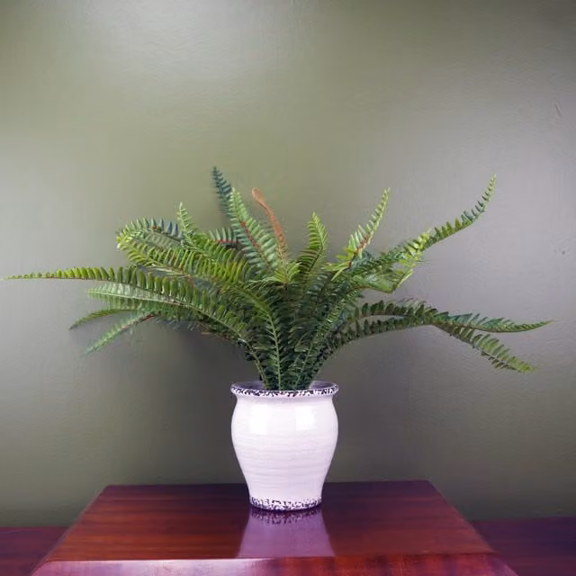 Leaf Artificial Potted Green Plant in White Ceramic Planter, H 40 cm x W 13 cm x D 13 cm