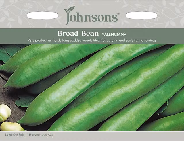 Johnsons Valenciana Broad Bean Vegetable Seeds