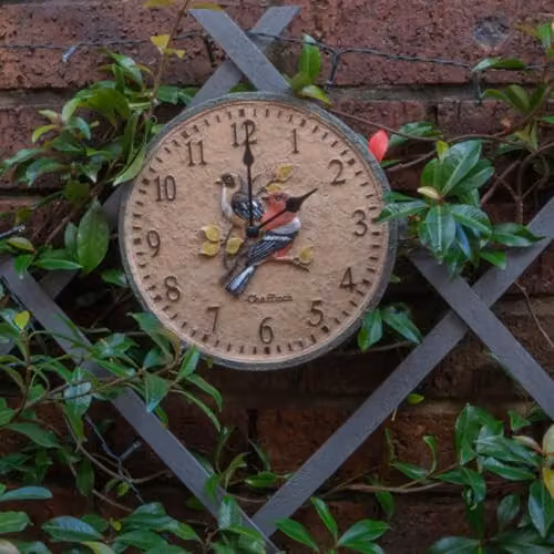 mysmartbuy Chaffinch Multicolour Indoor or Outdoor Floral Wall Clock, Diameter: 20 cm – 3