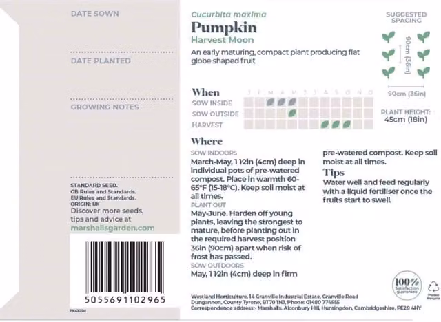 Marshalls Garden Harvest Moon Pumpkin Seeds, Orange, 8g