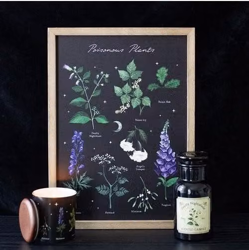 KDMD Poisonous Plants Botanical Framed Wall Art Print in Black and Multicolour – 1