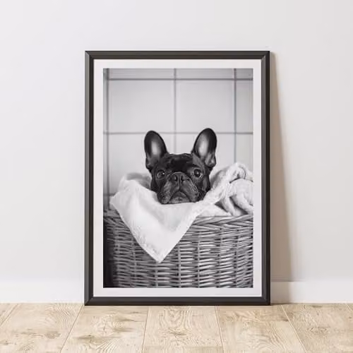 60 Second Makeover French Bulldog in Laundry Basket Paper Poster Print, A3
