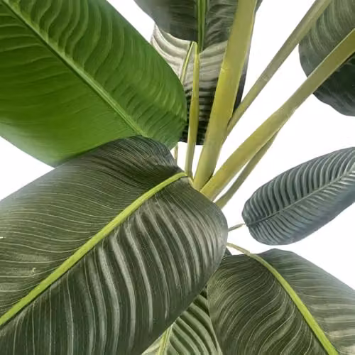 Leaf Design UK Realistic Potted Artificial Green Palm Tree, H 120 cm x W 50 cm x D 50 cm – 4