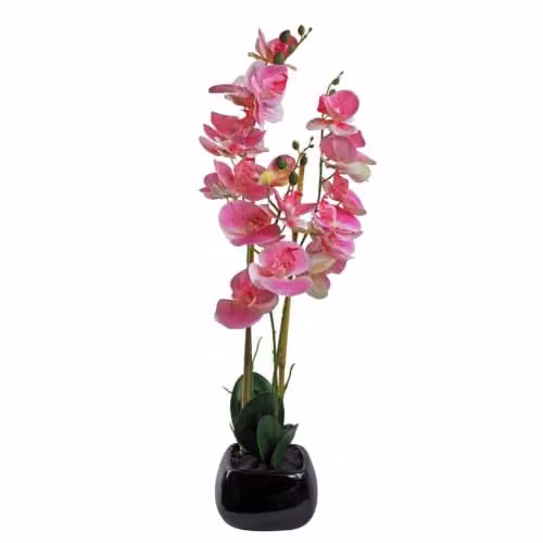 Leaf Design UK Light Pink Artificial Orchid with Black Ceramic Planter, Height: 70 cm, Width: 30 cm, Depth: 30 cm – 1