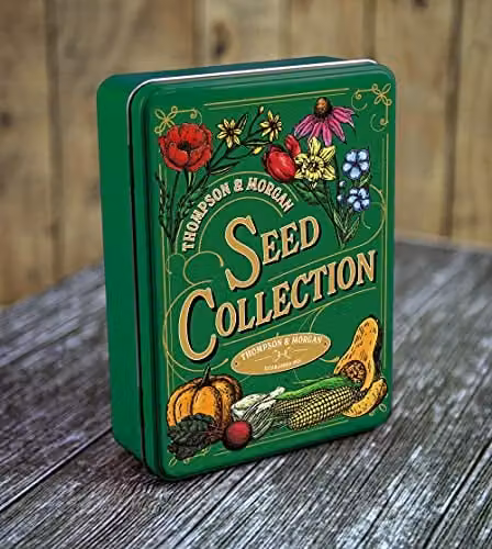 Thompson and Morgan Vintage Green Metal Seeds Storage Tin