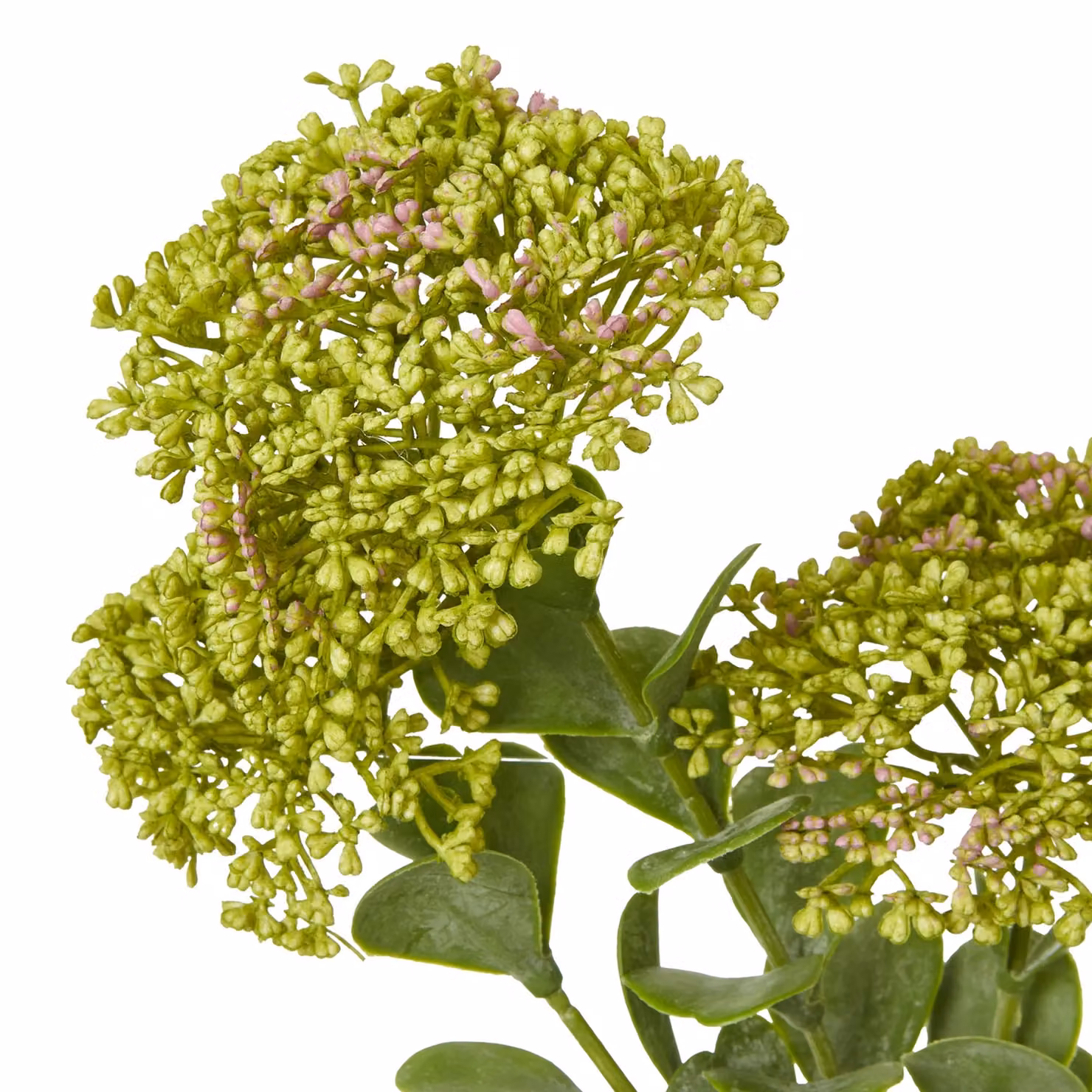 Hill Interiors Green Sedum Artificial Flower Spray – 2
