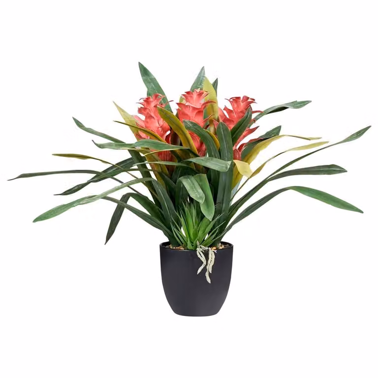 Wyld and Coco Red Bloom Faux Guzmania Indoor Plant in a Green Potted Tabletop Design