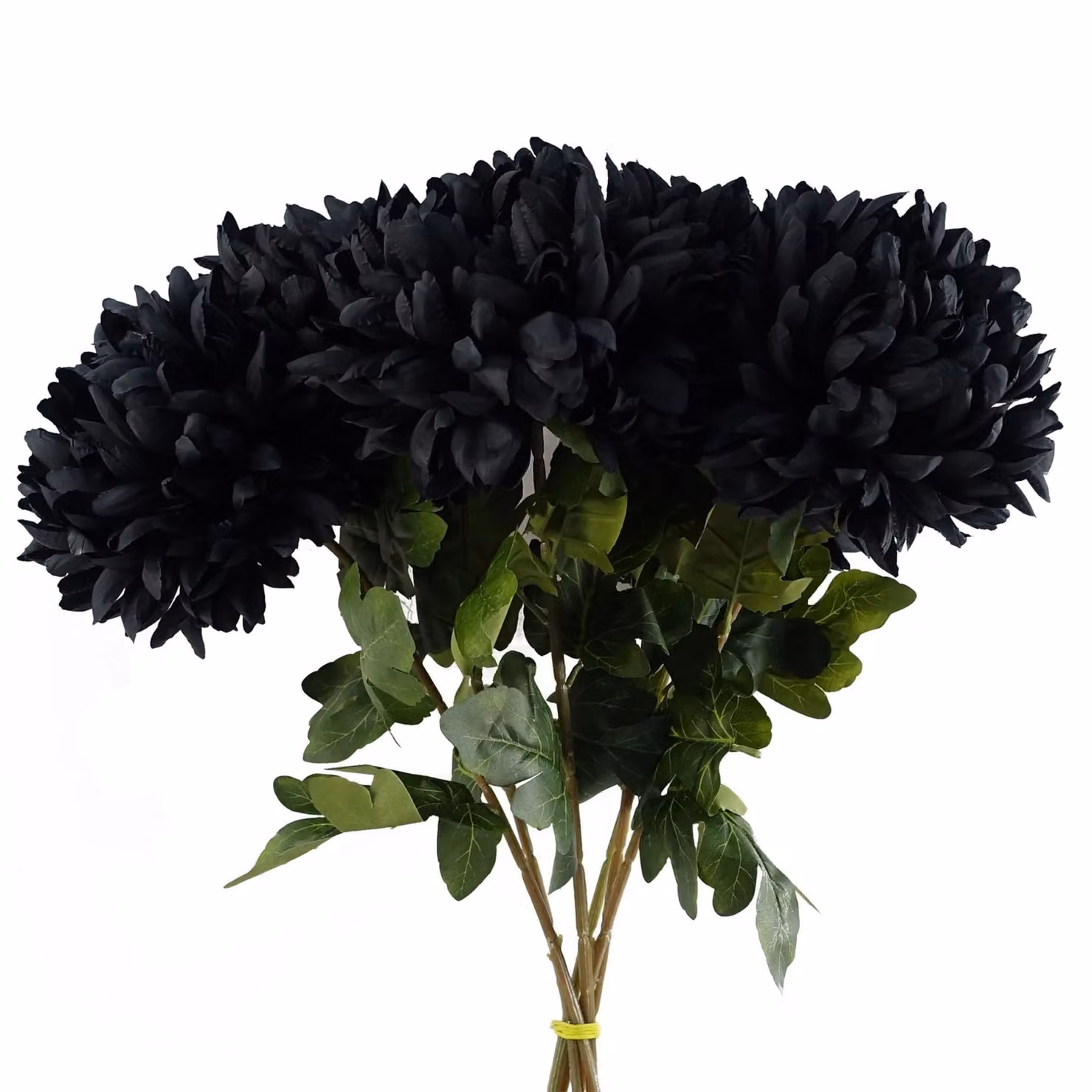Leaf Design Black Artificial Extra Large Reflex Chrysanthemum Stem Flowers, Height: 75 cm – 4