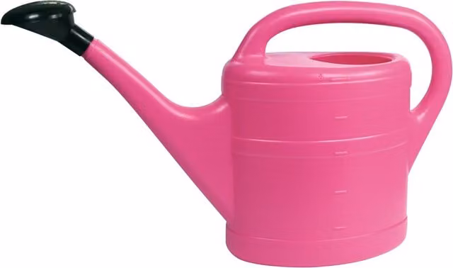 Green Wash Rose Pink 10L Manual Ornamental Garden Watering Can