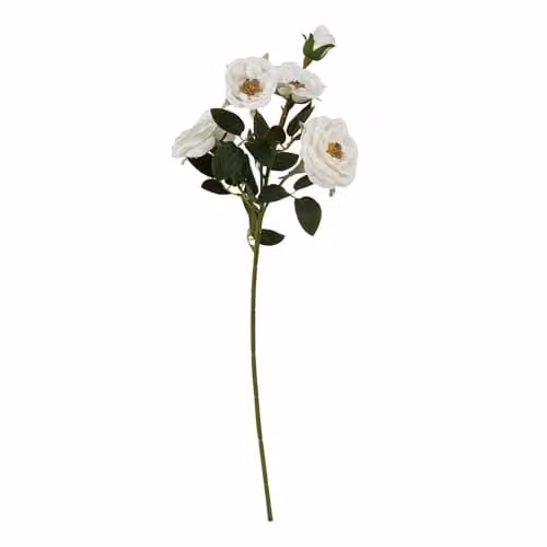 Hill Interiors Natural Garden Collection Hedge Rose Artificial Flower in White and Green