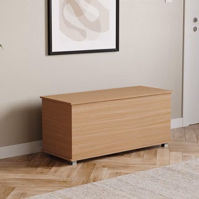 Vida Designs Leon Versatile Storage Ottoman in Brown – 1