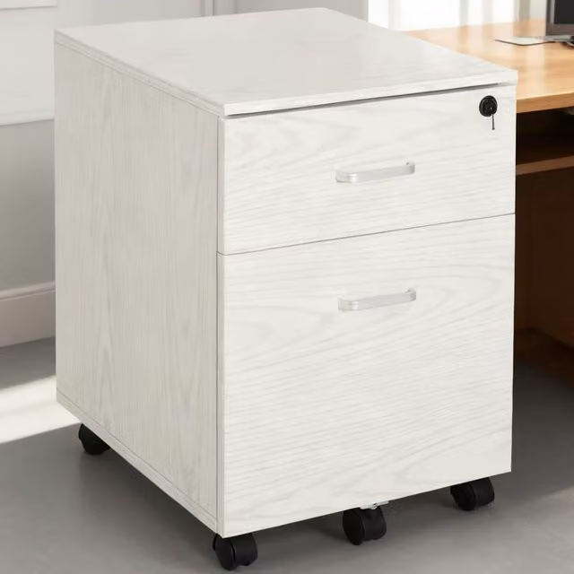 ERGOVEXA 2-Drawer Locking Rolling Office Filing Cabinet in White