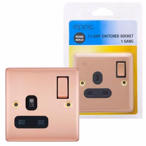 ELPINE Gold Surface Mounted 1 Gang Switched Socket