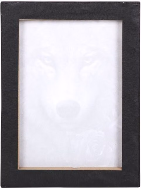 Spiral Direct Wolf Roses Floral Canvas Plaque in Black, Purple and White, W/H: 25.0 x 19.0 cm