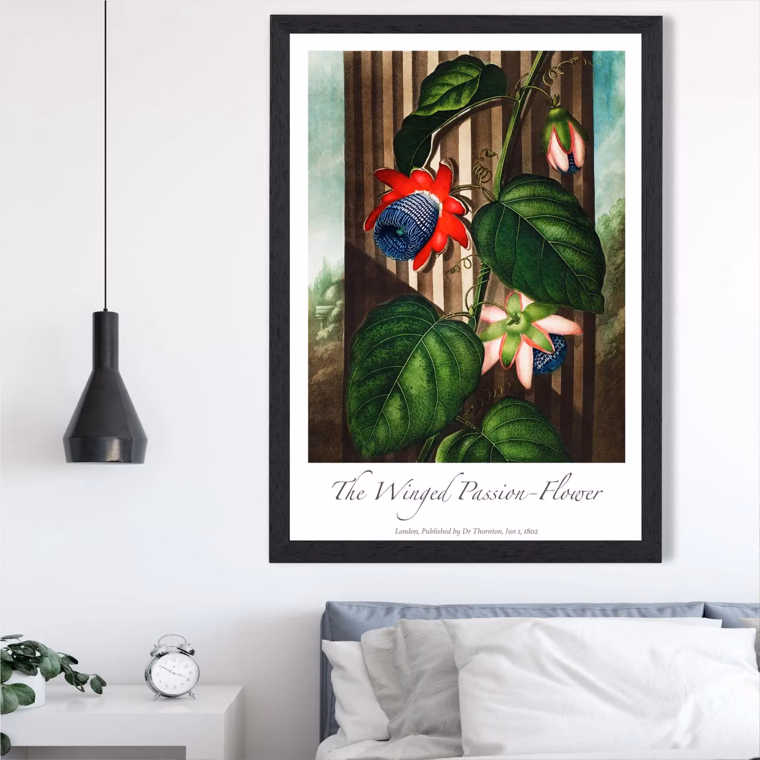 ARTZE Vintage Floral Winged Passion Flower Framed Print, Red and Black, A3 – 2
