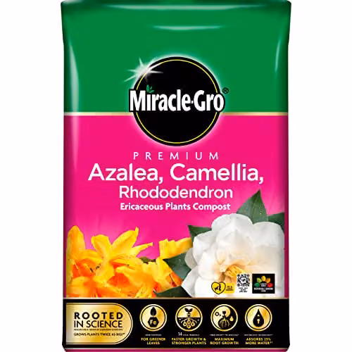 Miracle-Gro Premium Ericaceous Compost for Azaleas, Camellias and Rhododendrons, 40 l – 1