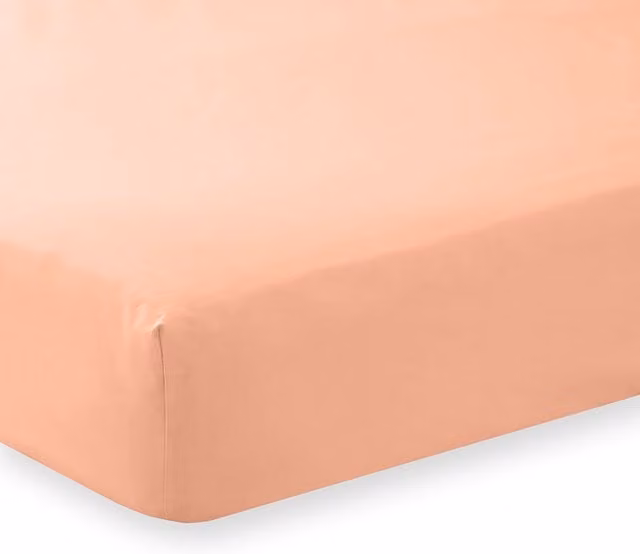Charlotte Thomas Poetry Plain Dye Fitted Sheet - Peach, Single, W: 90 cm, L: 190 cm