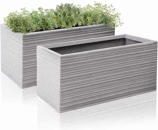Primrose Berniss Trough Planter Set of 2, Grey, 50 cm