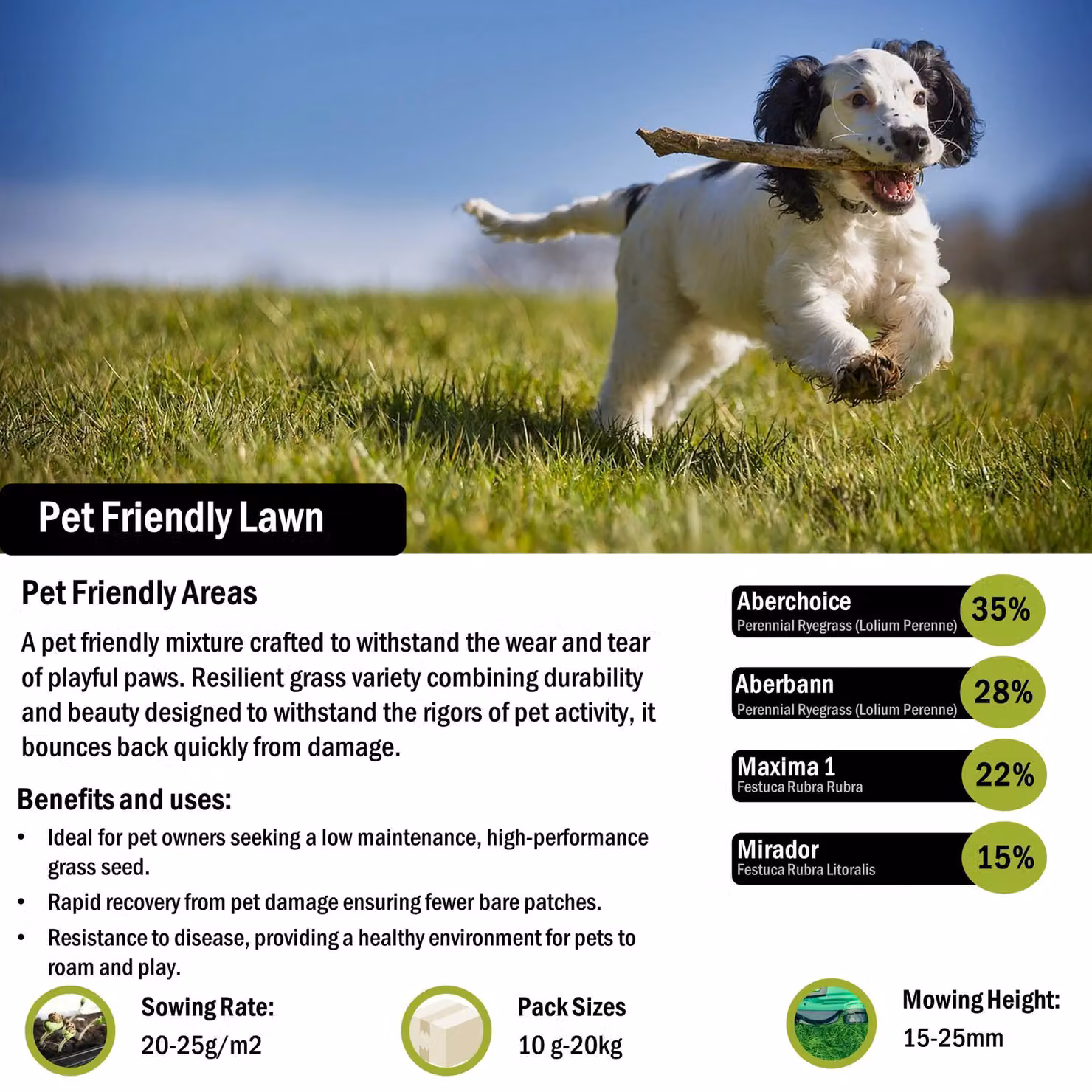 Pegdev Pet Friendly Resilient High Yielding Grass Seed for Lawns and Pastures, 2.5kg – 2