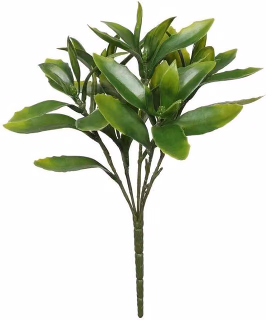 KDMD UV Exterior Everlast Sedum Plant in Green, 29cm