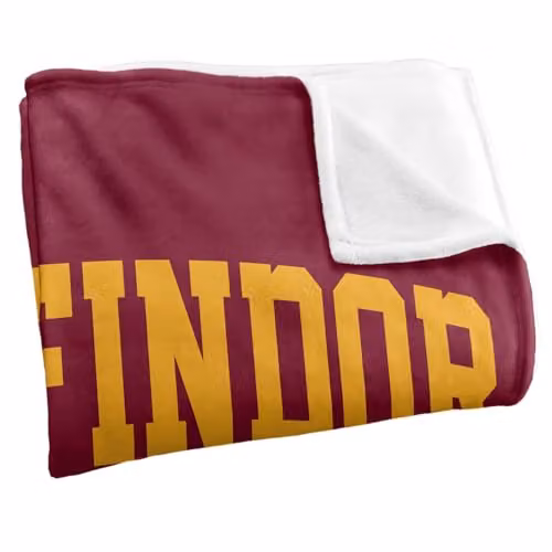 LOGOVISION Harry Potter Arched Gryffindor Super Soft Fleece Throw Blanket, Red/Multicolour, W: 127 cm x L: 152.4 cm – 2