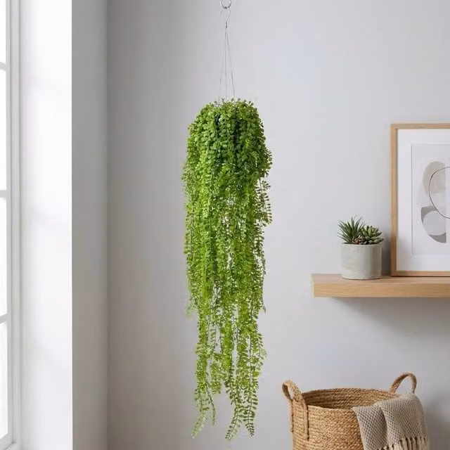 Garden Greatness Hanging Airplant Vine Arrangement in Green and Multicolour