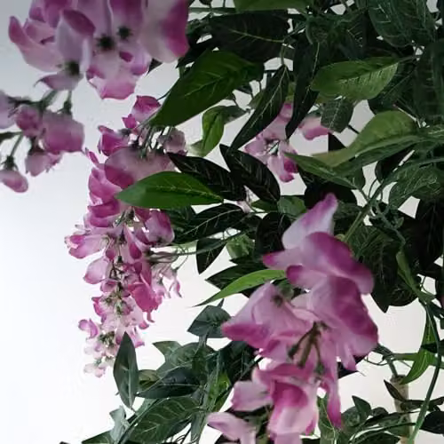 Leaf Design UK Luxury Pink and Black Freestanding Artificial Flowering Tree – 2