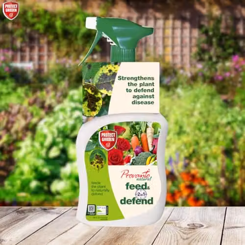 Phostrogen Biological Fungicide Spray for Vegetable and Ornamental Gardens, 1 l – 3