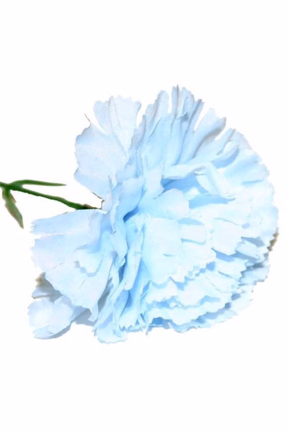 KDMD Baby Blue Single Carnations, 2 Pack of 12 Stems – 2