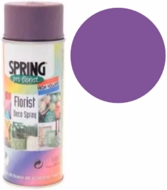 Euro-Aerosols Regal Purple Decor Spray Paint