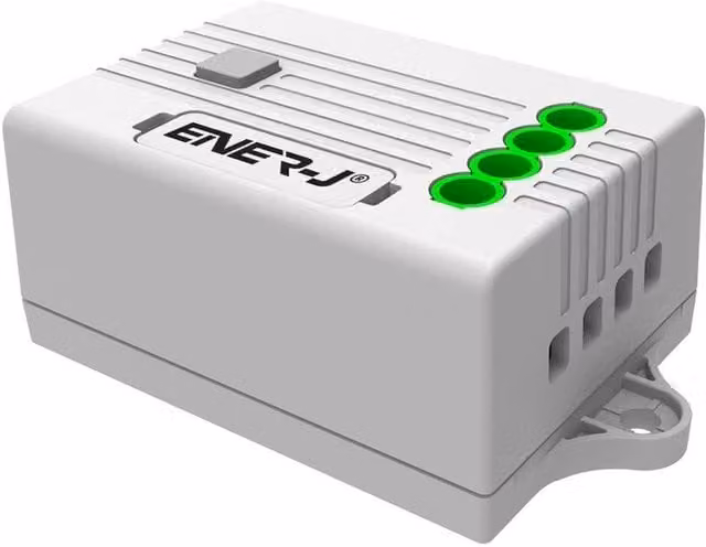 EnerJ Smart 2 Way Non Dimmable Switch Receiver, 5A 2 x 600W, White