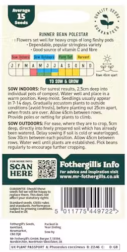 Mr Fothergill's Oh Sow Simple Green Runner Bean Vegetable Seeds – 2