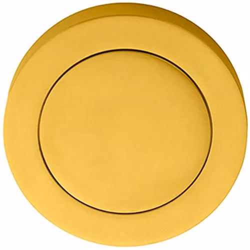 Loops 51mm Polished Brass Blank Escutcheon with Concealed Fix Rose