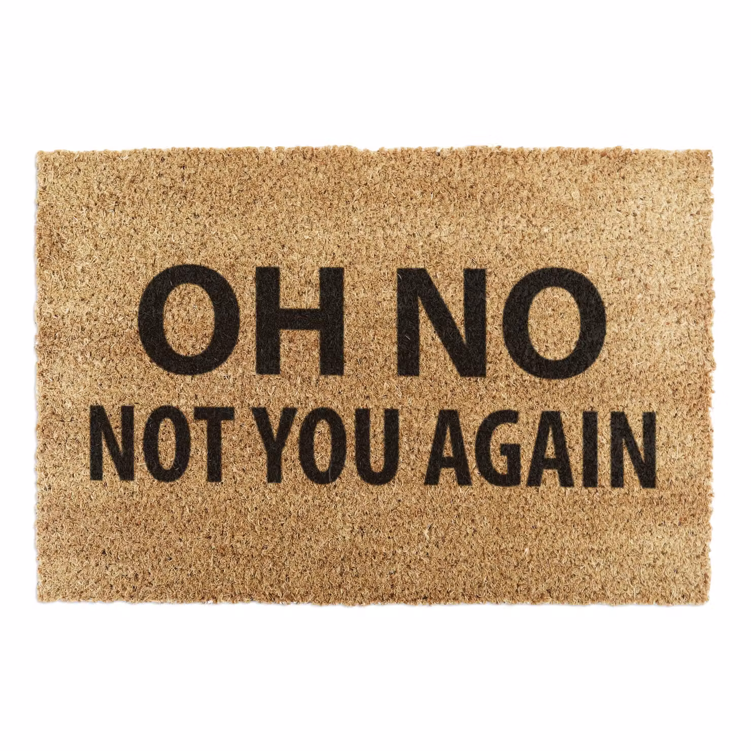 Artsy Mats Not You Again Country Coir Doormat in Grey and Brown, W: 90 cm, D: 60 cm – 3