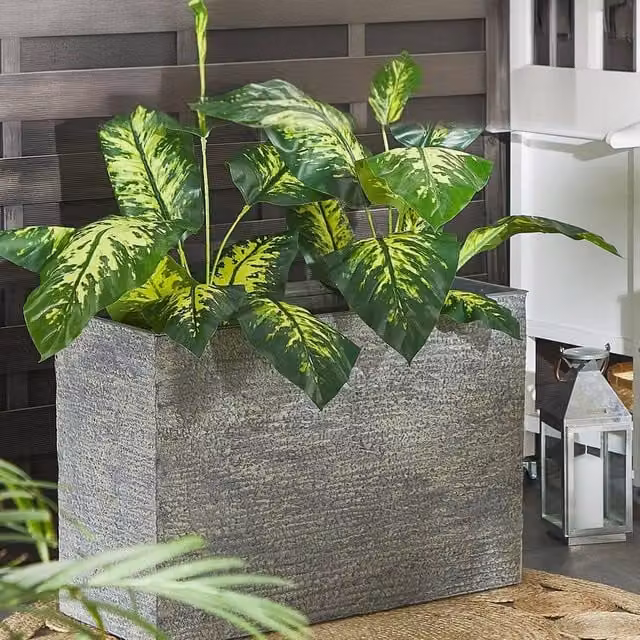 Wyld and Coco Grey Rectangular Fibreglass Reinforced Fibre Clay Planter Tub W: 80.0 cm, D: 56.0 cm, H: 35.0 cm