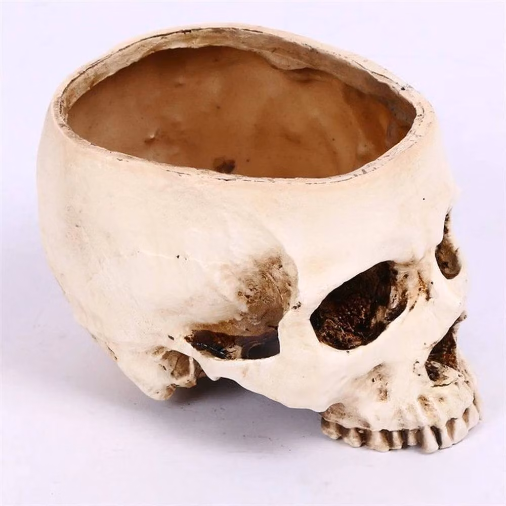 FLAVORA Realistic Resin Skull Planter for Succulents, White, H 100 cm x W 15 cm x D 15 cm – 5