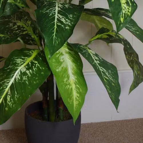 Leaf Design UK Artificial Green Yukka Tropical Tabletop House Plant in Silver – 3