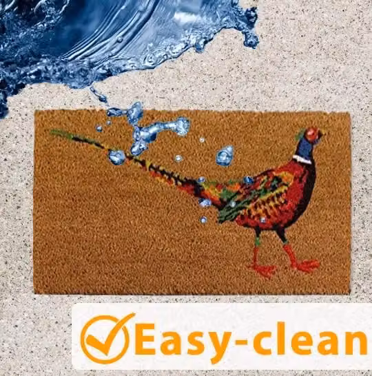 Marco Paul Le Faisan Non Slip Coir Door Mat, Brown and Multicolour, W: 75.0 cm, D: 45.0 cm – 5