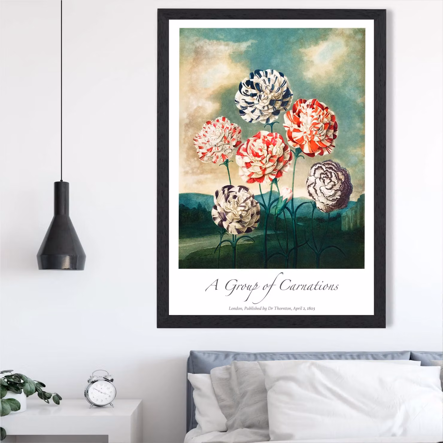ARTZE Vintage Floral Carnation Flowers Framed Print, Red and Multicolour Botanical Illustration in a Black Frame, A4 – 2