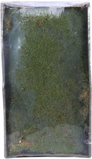 KDMD Preserved Green Moss with Tray, 500g – 1